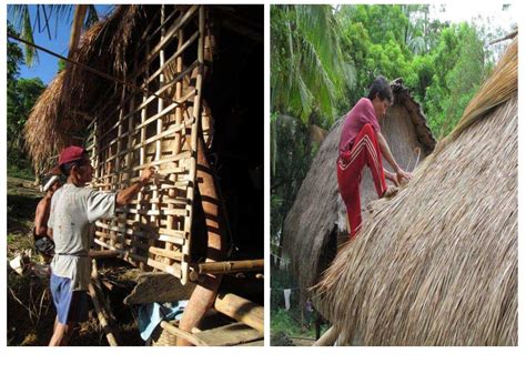 Philippine Traditional Knowledge Digital Library on Health.